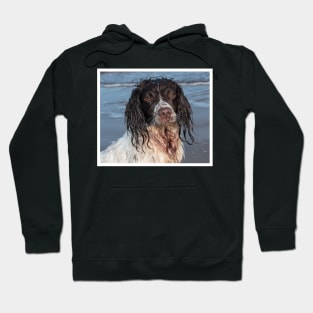 English Springer Spaniel Hoodie